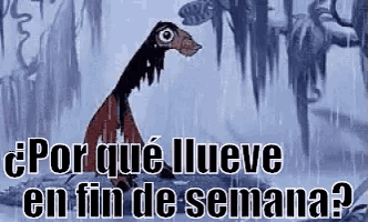 a cartoon character is standing in the rain with the words `` por que llueve en fin de semana ? '' written below him .