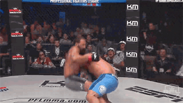 two men are fighting in a boxing ring with the words professional fighters league on the walls