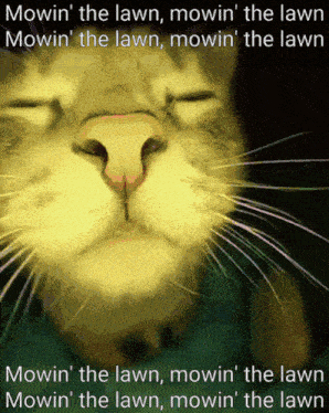 a picture of a cat with the words mowin ' the lawn written below it
