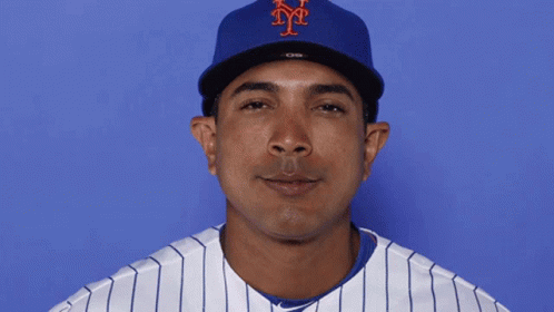 Luis Rojas Mets GIF - Luis Rojas Mets New York Mets GIFs