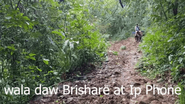 a person riding a bike on a trail with the words " wala daw brishare at ip phone "