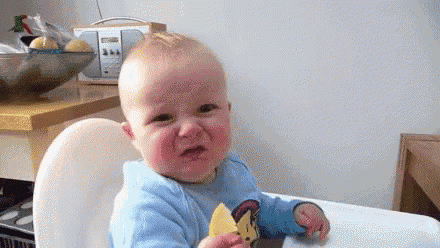 a baby is sitting in a high chair eating a slice of lemon .