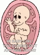 Baby Womb GIF