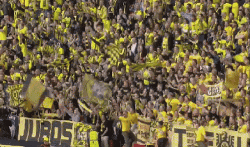 Dortmund Borussia GIF - Dortmund Fans GIFs