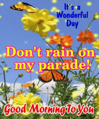 Dont Rain On My Parade GIF - Dont Rain On My Parade GIFs
