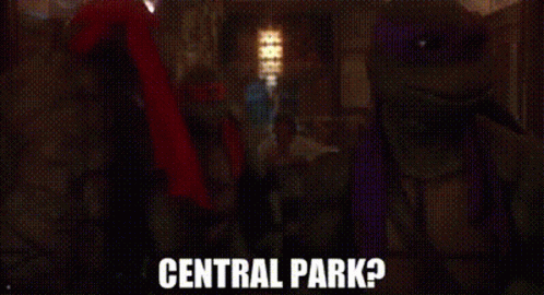 Tmnt Donatello GIF - Tmnt Donatello Central Park GIFs