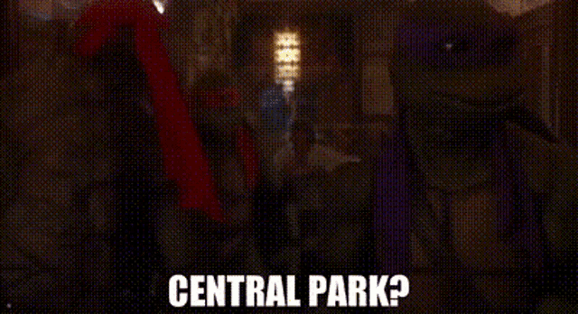a group of teenage mutant ninja turtles are standing next to each other in a dark room and talking about central park .