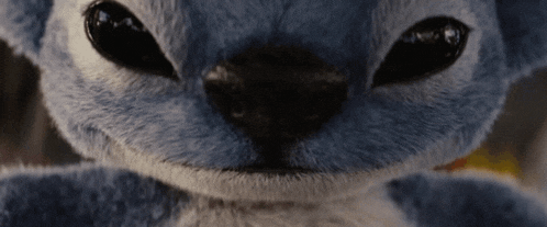 a close up of a stuffed animal 's face with big black eyes