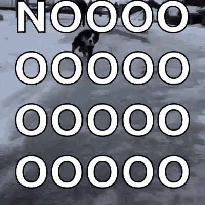 a dog is walking in the snow with the words nooo 00000 00000 00000 written above it .