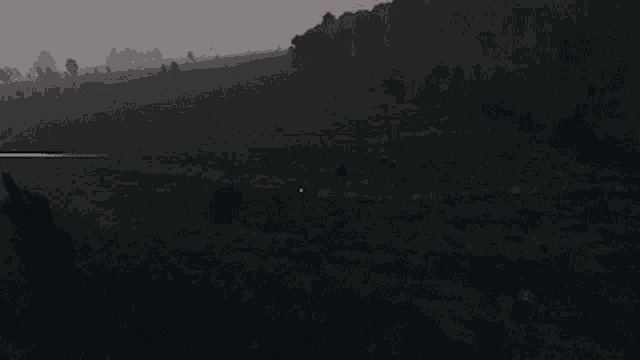 a dark field with trees in the background and a few lines in the middle
