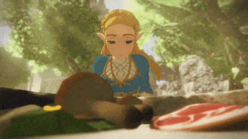 Botw Zelda Aoc Zelda GIF - Botw Zelda Aoc Zelda Princess Zelda GIFs