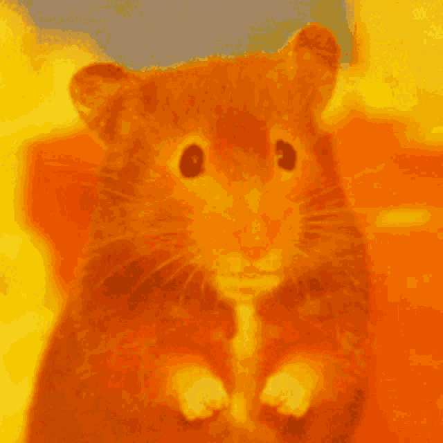 a close up of a hamster standing in front of a fire