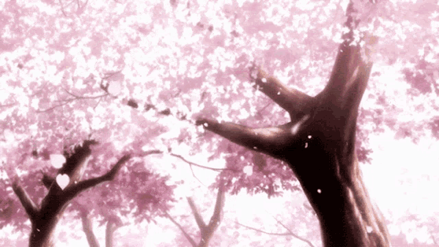 a cherry blossom tree with pink petals falling from it