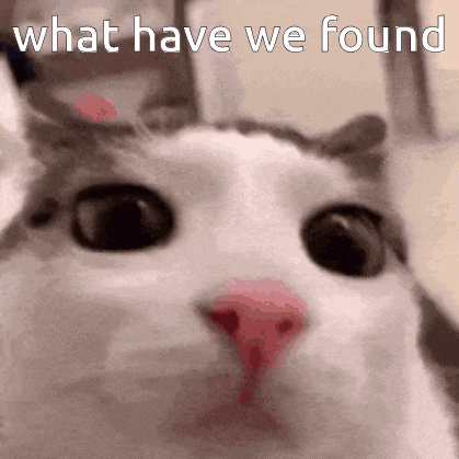 a close up of a cat 's face with the words " what have we found " above it