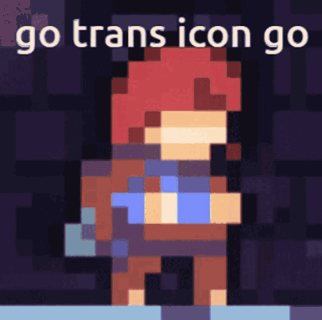 a pixel art drawing of a person with the words go trans icon go