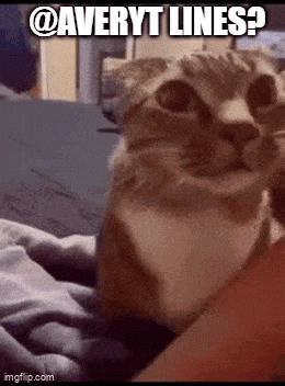 a cat is sitting on a bed with a caption that says `` averyt lines '' .