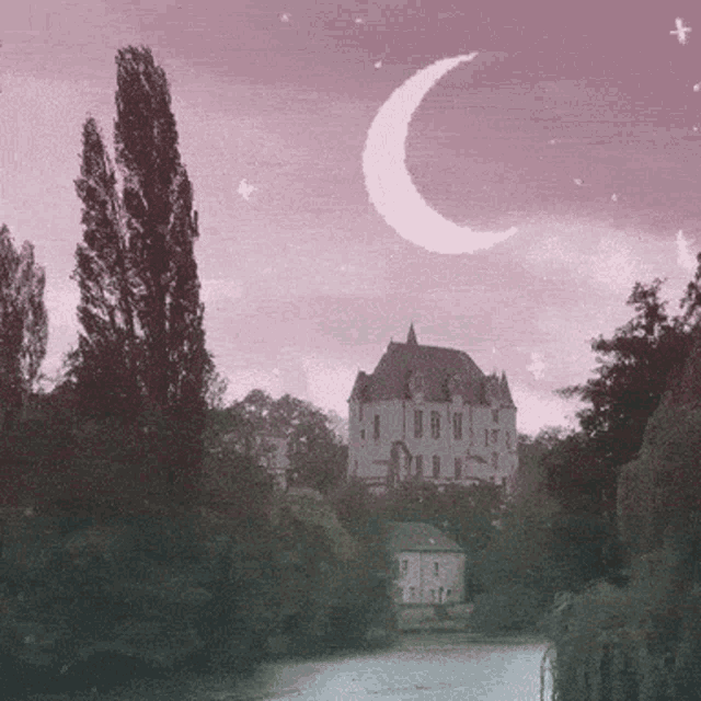 a castle sits on the shore of a river with a crescent moon in the sky