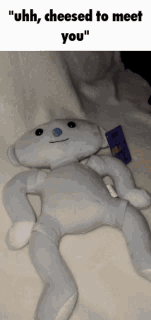 a stuffed animal that says " uhh cheesed to meet you " is laying on a bed