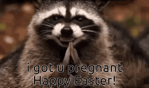 Easter Pregnant GIF - Easter Pregnant Hehe GIFs