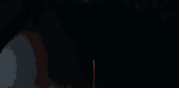 a fireworks display with a red flower in the middle of it