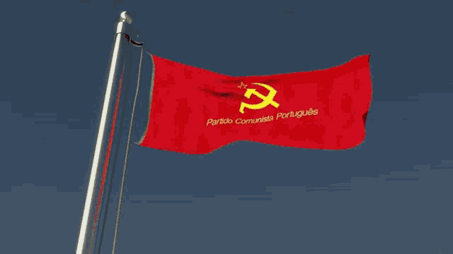 a red flag with a gold hammer and sickle and the word freedom on it