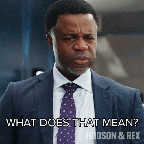 What Does That Mean Supt Joe Donovan GIF - What Does That Mean Supt Joe Donovan Hudson And Rex GIFs