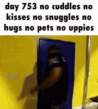 a person standing in front of a yellow wall with the words day 753 no cuddles