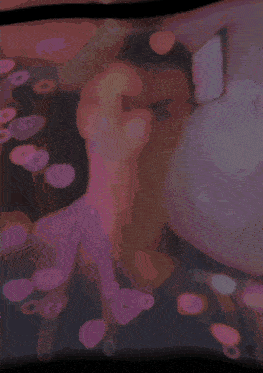 a pink heart with a white border is surrounded by a blurred background