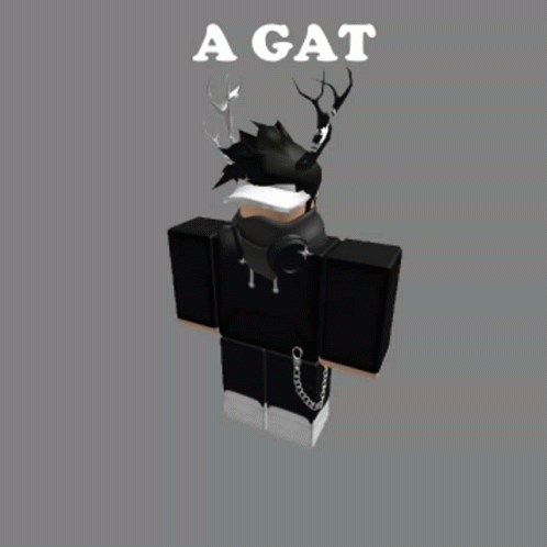 Gat Gato GIF - Gat Gato Shadow Gat GIFs
