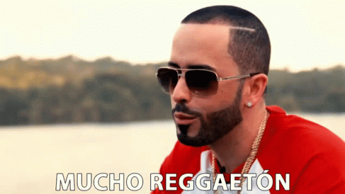 Mucho Reggaeton Musica GIF