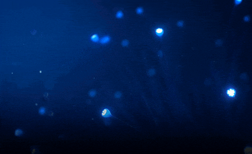 a dark blue background with a few white dots