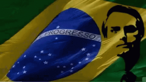 Bandeira Brasil GIF - Bandeira Brasil Flag GIFs