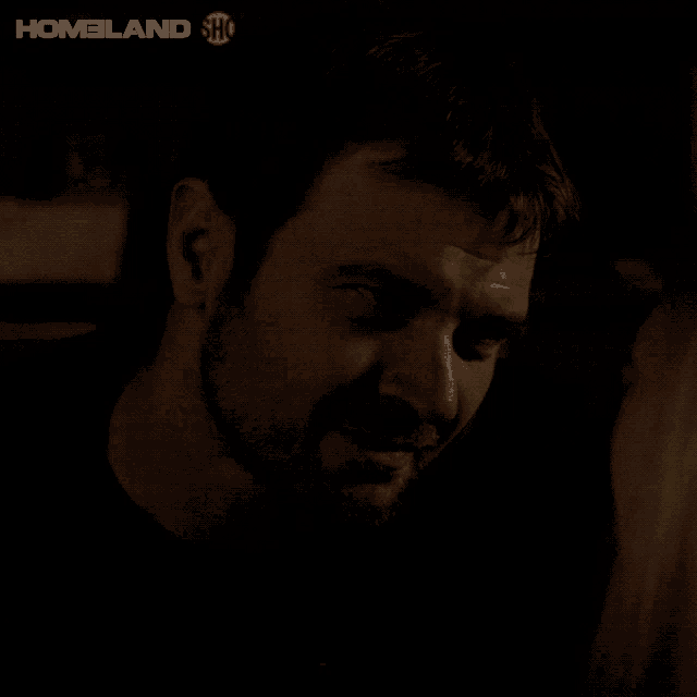 a poster for homeland shows a man making a face