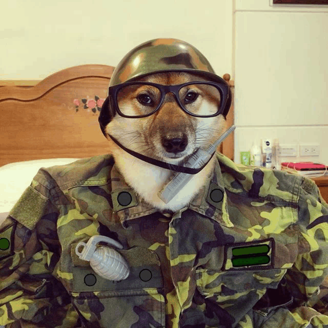 a dog is wearing a helmet and glasses and has a grenade in its chest