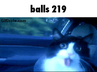 a black and white cat is sitting in a car with the words balls 219 behind it
