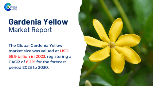 Gardenia Yellow Market Report 2024 GIF - Gardenia Yellow Market Report 2024 GIFs