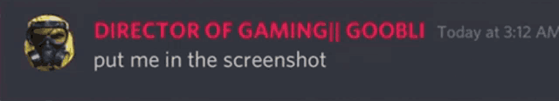 a screenshot of a video with the words director gaming goodli put me in the screenshot at 3:12 am