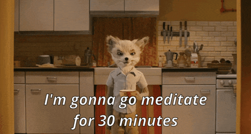 a fox in a kitchen with the words " i 'm gonna go meditate for 30 minutes "