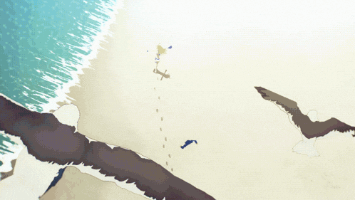 an aerial view of a beach with a person walking on it