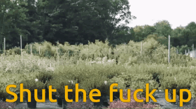 a bunch of potted plants with the words shut the fuck up in yellow