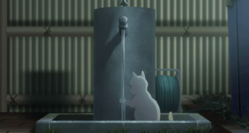 A Whisker Away Cat GIF - A Whisker Away Cat Washing Hands GIFs