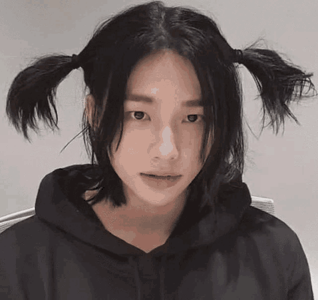 a close up of a person 's face with pigtails on their head .