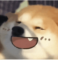 a close up of a dog 's face with its mouth open and eyes closed .