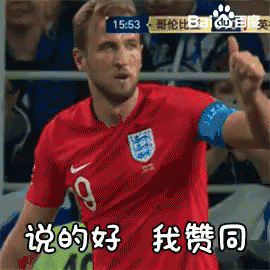 凯恩 英格兰队 三狮军团 说得好 赞同 世界杯 足球 GIF - Kane England Soccer I Agree GIFs