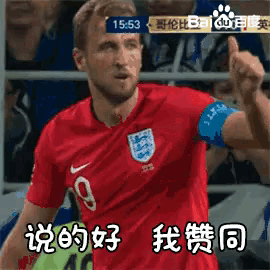 凯恩 英格兰队 三狮军团 说得好 赞同 世界杯 足球 GIF