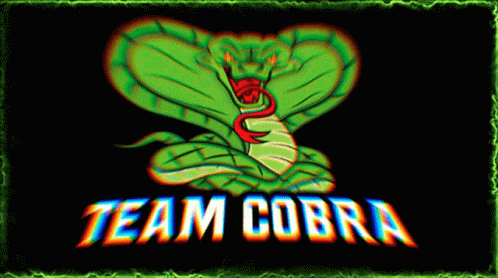 Cobrateam Polska GIF - Cobrateam Cobra Polska GIFs