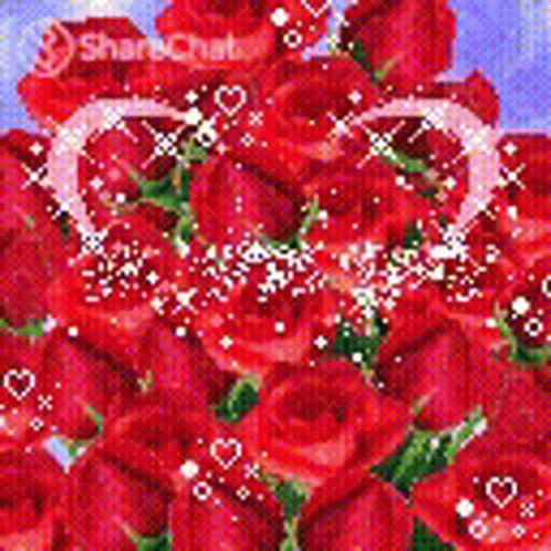 I Love You Roses GIF - I Love You Roses In Love GIFs