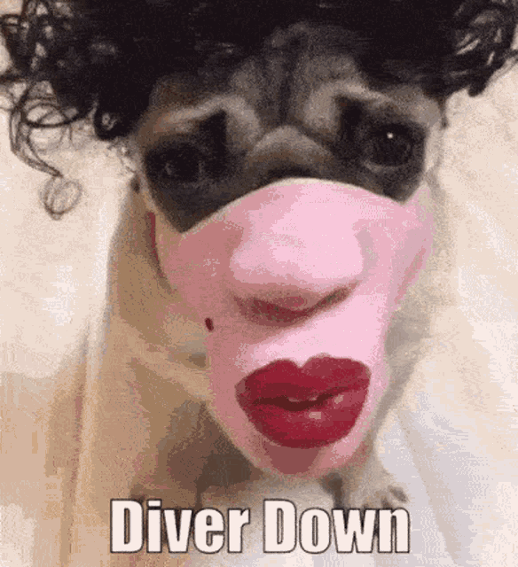 Narciso Anasui Diver Down GIF - Narciso Anasui Diver Down Jojos Bizarre Adventure GIFs