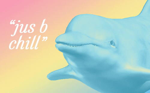Jus B Chill GIF - Chillout Bechill Dolphin GIFs