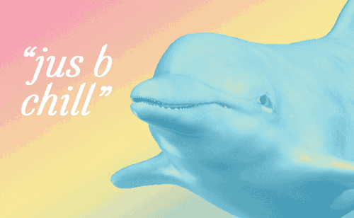 a blue dolphin with the words " jus b chill " written above it